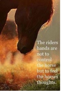 Riders hadns